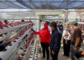 Resmikan Green Corner, Walkot Harapkan Sinergi UIN RIL dalam Pengolahan Sampah