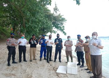 Polda Lampung Gagalkan Jual-Beli Benih Lobster Senilai Rp 1 Miliar