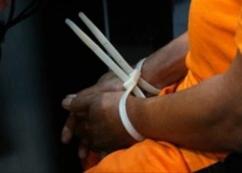 Sadar Lagi Dicari, DPO Asal Lampung Timur Serahkan Diri ke Polisi