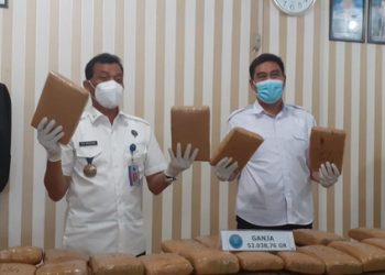 BNN Lampung Tangkap Penyelundup Ganja 52,3 Kg di Jalan Tol Trans Sumatera