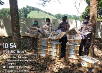 Penyelundupan 458 Ekor Satwa Dilindungi Berhasil Digagalkan di Bakauheni