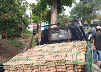 Mobil Angkutan Telur di Bandar Lampung Dikejar dan Dirusak 2 Orang Tak Dikenal