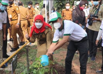 Dies Natalis ke-56, Unila Tanam 1.500 Pohon Sebagai Upaya Mendukung Green Matric