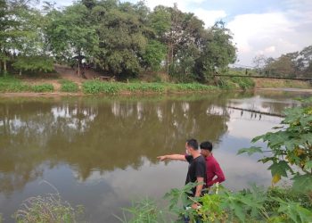 Usai Tolong Teman, Bocah SMP Tenggelam di Aliran Sungai Way Sekampung