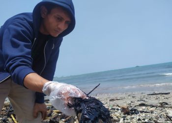 Sejumlah Pantai di Lampung Diduga Tercemar Limbah Aspal
