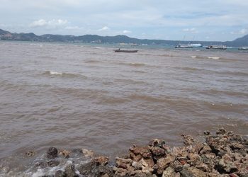 Waspada Angin Kencang di Lampung, Kecepatan hingga 28 Km/jam