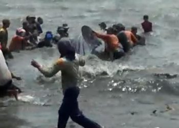 Viral Video Hiu Tutul 10 Meter Terjerat Jaring Milik Nelayan Lampung