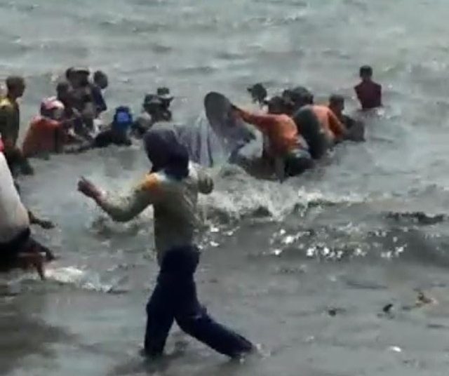 Viral Video Hiu Tutul 10 Meter Terjerat Jaring Milik Nelayan Lampung