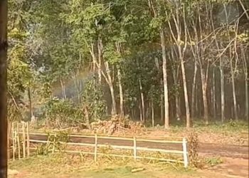 Fenomena Unik, Pelangi Bersinar di Depan Rumah Warga di Lampung