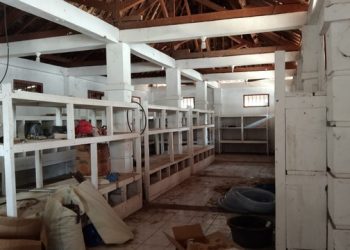 Janji Pencarian KM EMJ 7, Kantor PT Sutioso Bersaudara di Lampung Malah Kosong