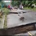 Jembatan Penghubung di Gebang, Pesawaran, Lampung, Nyaris Putus