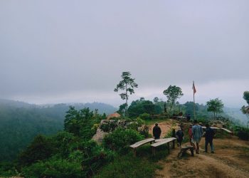 Self Healing dan Berburu Kabut di Ketinggian 1.000 Mdpl Puncak Punggung Naga