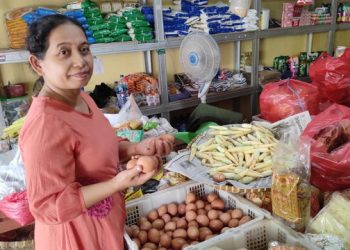 Menteri Pertanian Sebut Harga Telur Masih Terkendali, Ini Harga Telur di Lampung