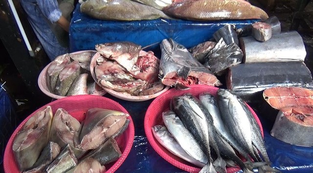 Cuaca Buruk, Harga Ikan Laut di Pasar Gudang Lelang, Lampung, Alami Kenaikan