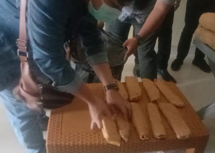 Gerebek Maling, Tekab 308 Polresta Bandar Lampung Malah Temukan 8,5 Kg Ganja