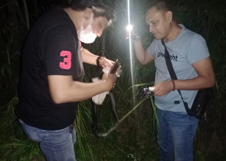 Kaget Saat Bertemu Polisi, 2 Orang Diduga Begal Buang Pistol ke Semak-semak