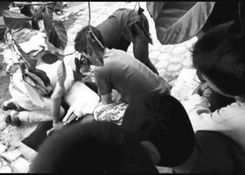 Jagal Kambing Kurban di Bandar Lampung Meninggal Dunia Saat Sedang Bertugas
