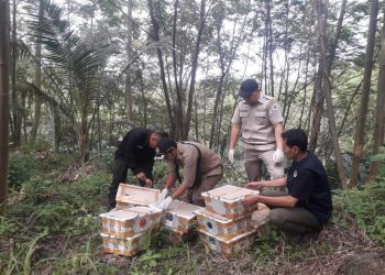 Penyeludupan Ratusan Burung Ilegal Asal Lampung Timur Berhasil Digagalkan
