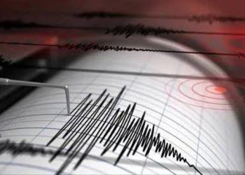 Seperti di Turki, Sesar Semangko Bisa Picu Gempa Multisegmen di Bandar Lampung