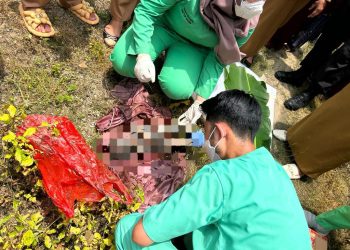 Geger, Warga Lampung Selatan, Temukan Bayi Perempuan Terbungkus Kain
