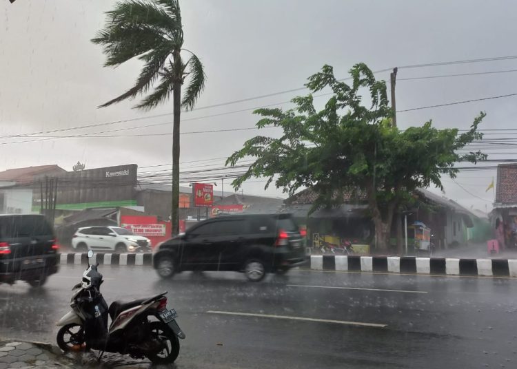 Berpotensi Hujan, Ini Prakiraan Cuaca 3 Hari ke Depan 23-25 Maret di Lampung