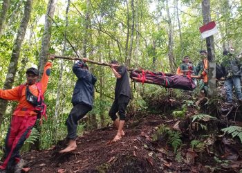 Seluruh Pendaki di Gunung Seminung Telah Dievakuasi, Beberapa Pendaki Dirawat