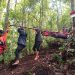 Seluruh Pendaki di Gunung Seminung Telah Dievakuasi, Beberapa Pendaki Dirawat