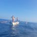 Nelayan yang Diterjang Ombak Laut di Pesisir Barat Lampung Belum Ditemukan