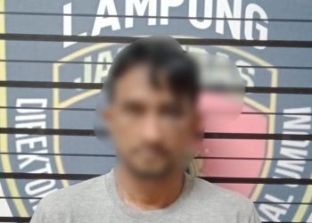 Sopir di Lampung Nekat Curi 2.000 Hotwheels Senilai Ratusan Juta Milik Majikan