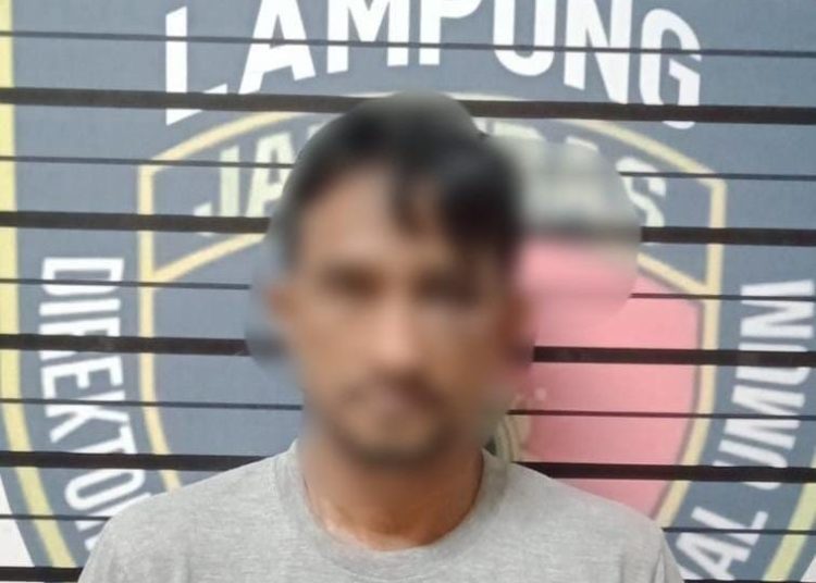 Sopir di Lampung Nekat Curi 2.000 Hotwheels Senilai Ratusan Juta Milik Majikan