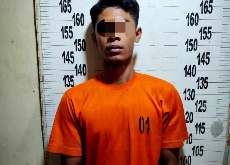 Bawa Kabur Motor Temannya, Pria di Lampung Tengah Ditangkap Polisi